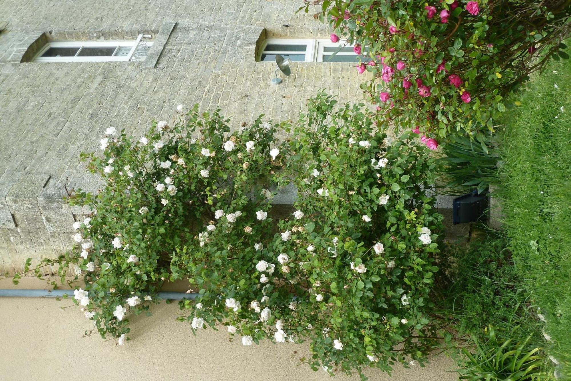 B&B L'Atelier Du Presbytere Saint-Maugan 외부 사진